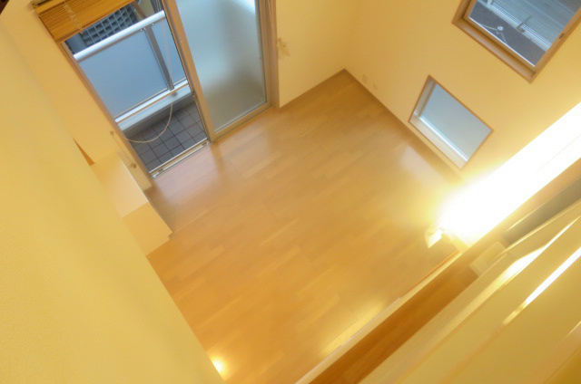 グレーディングフォレスト  その他9