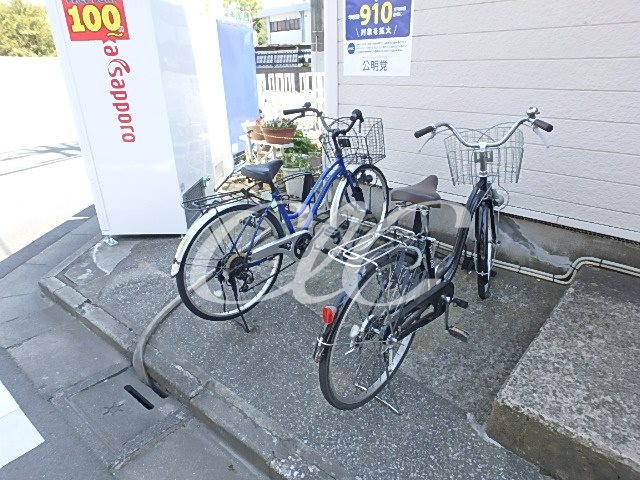 ヴェルデ・コウリン その他5