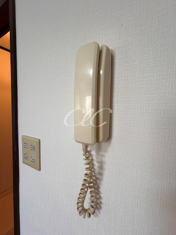 エバーグリーンハイツ その他5