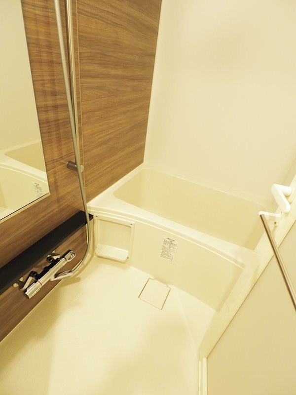 レジディア門前仲町プレイス 風呂画像