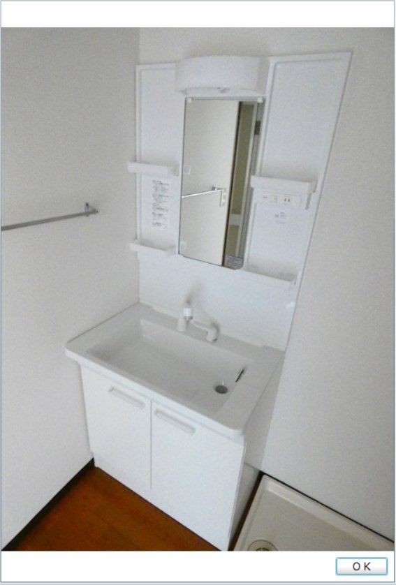 ベイ・ドルフィン   その他1