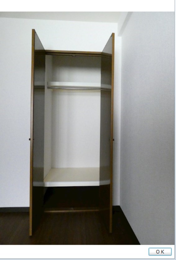 ベイ・ドルフィン   その他6