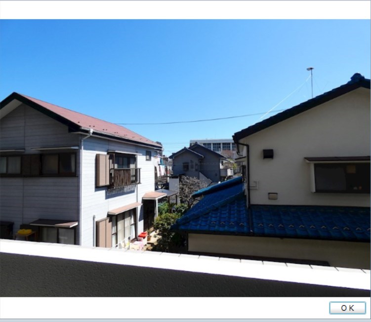 ベイ・ドルフィン   その他7