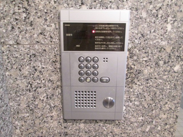 ベイ・ドルフィン   その他8