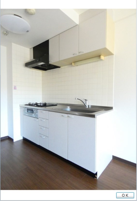 ベイ・ドルフィン   キッチン