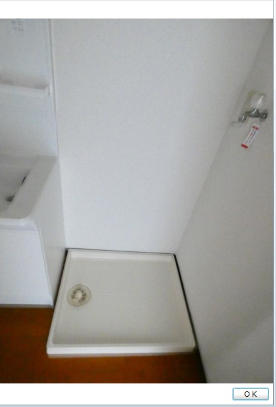 ベイ・ドルフィン   その他5