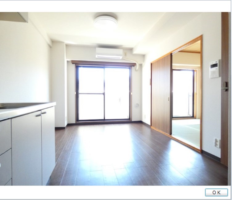 ベイ・ドルフィン   リビング