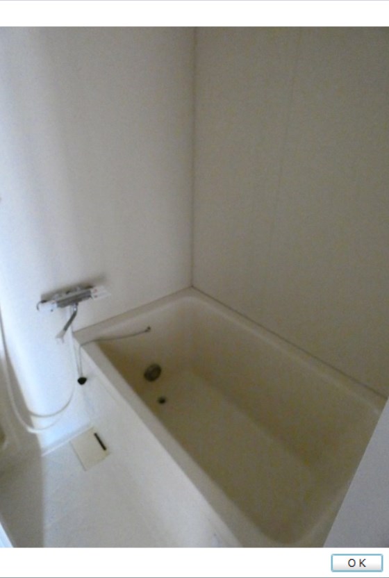 ベイ・ドルフィン   風呂画像