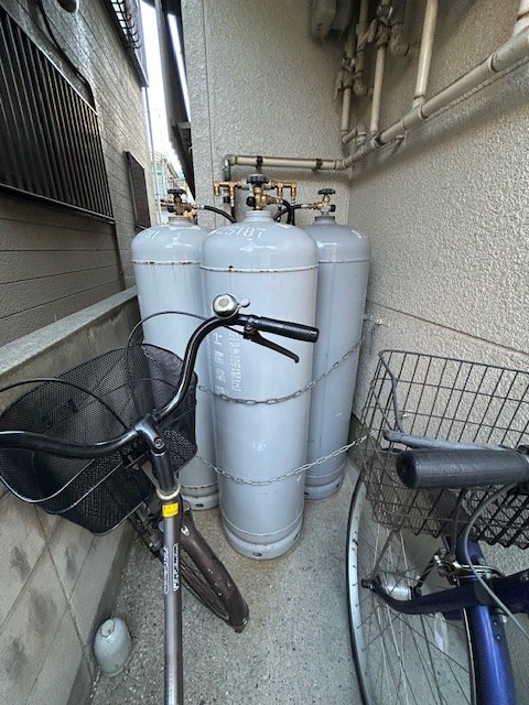 パールヴレイザー  その他8