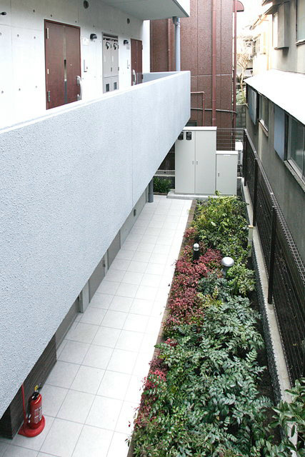 カサミラ その他7