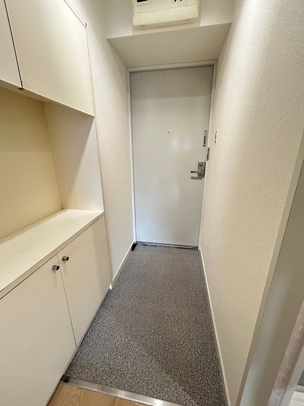 カーサデルソル 玄関