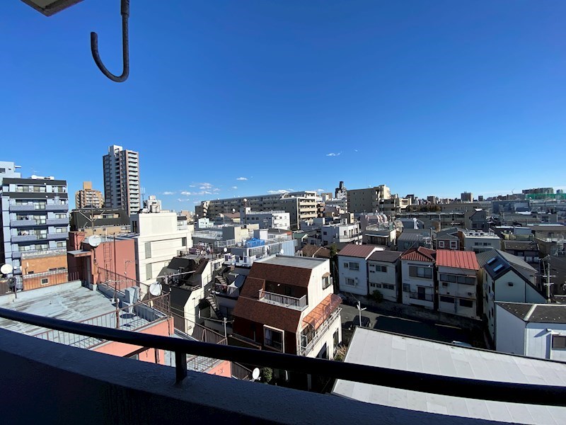 カーサーシンセラー その他3