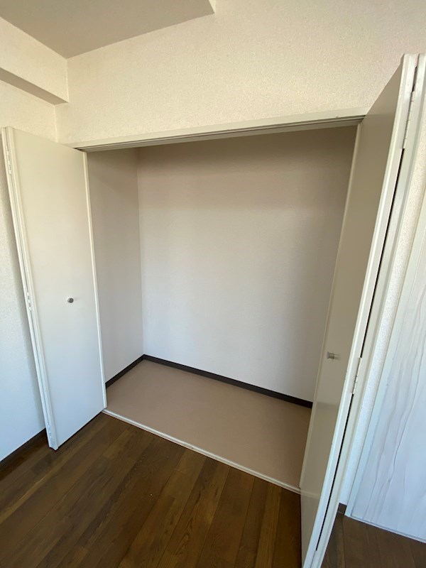 カーサーシンセラー その他5