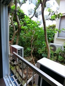 金龍荘 その他2