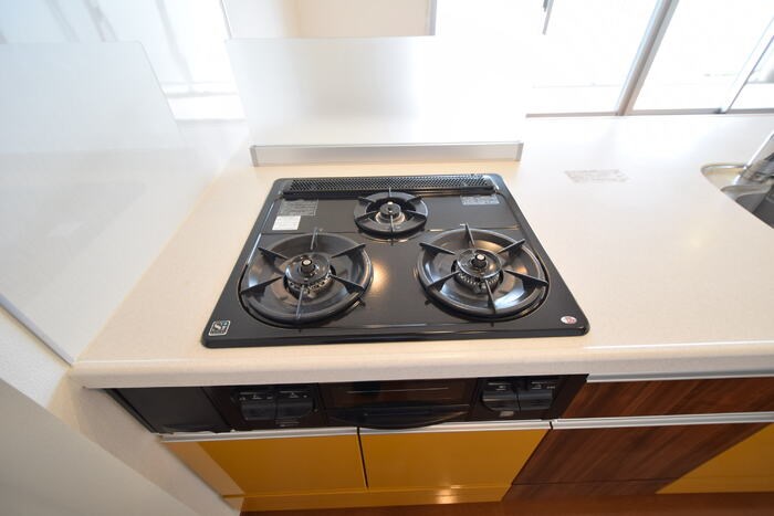 ロイヤルパークスリバーサイド その他19