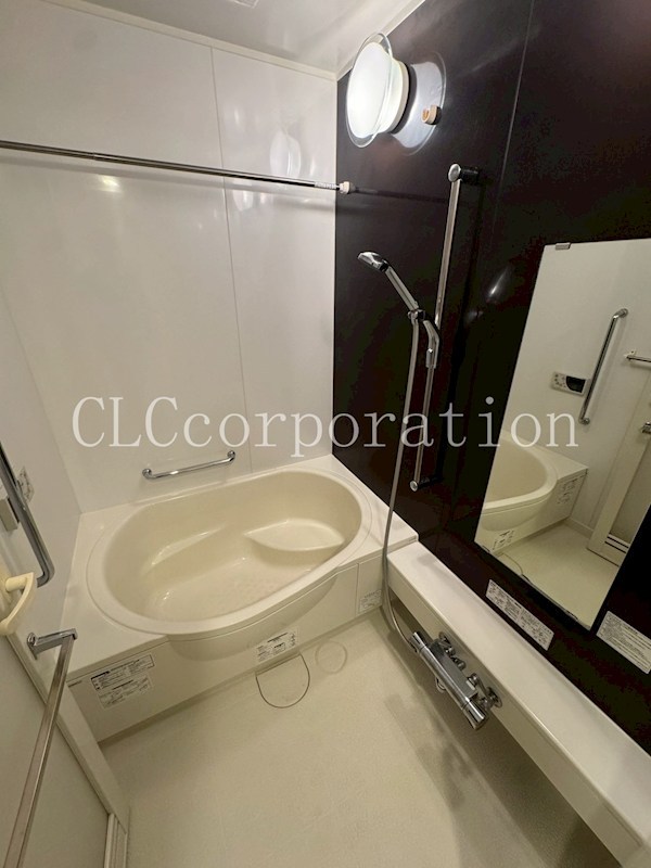 ダイアパレス蔵前 風呂画像