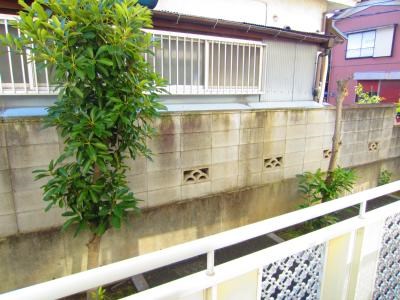 シャルム・ラフォーレ その他5