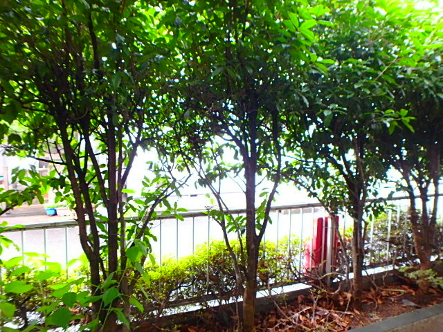 ハイムウチダ   その他5