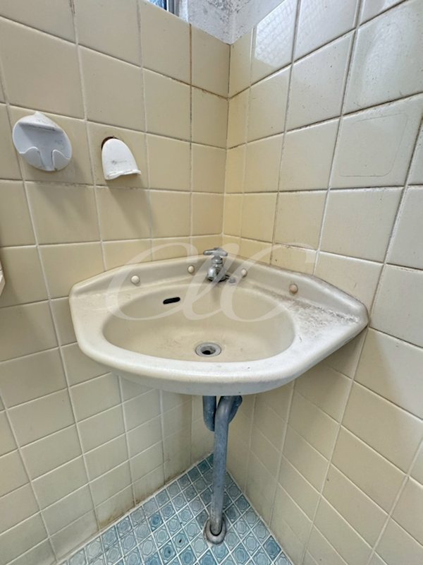 ホワイトハイツ その他2