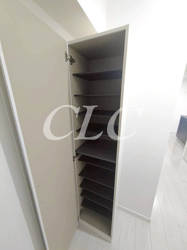 Leonis（レオニス)   その他17