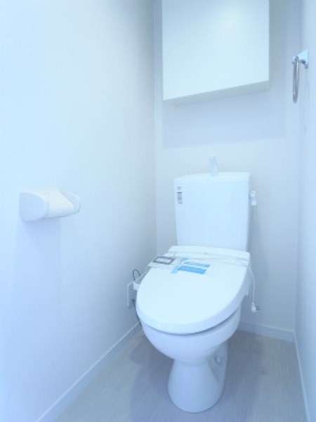 アネシス  その他1