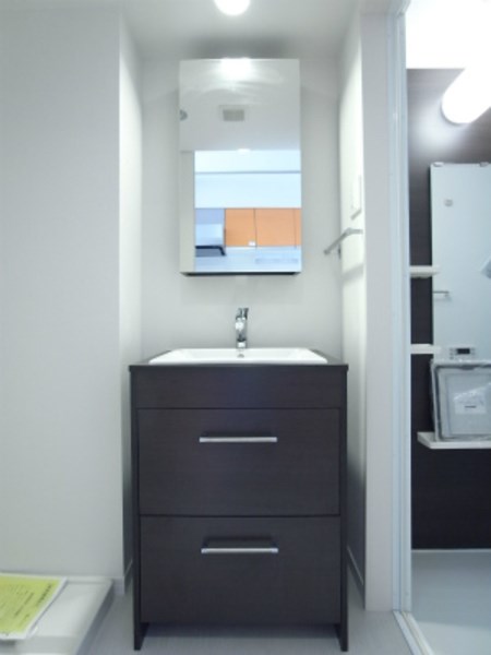 アネシス  その他2