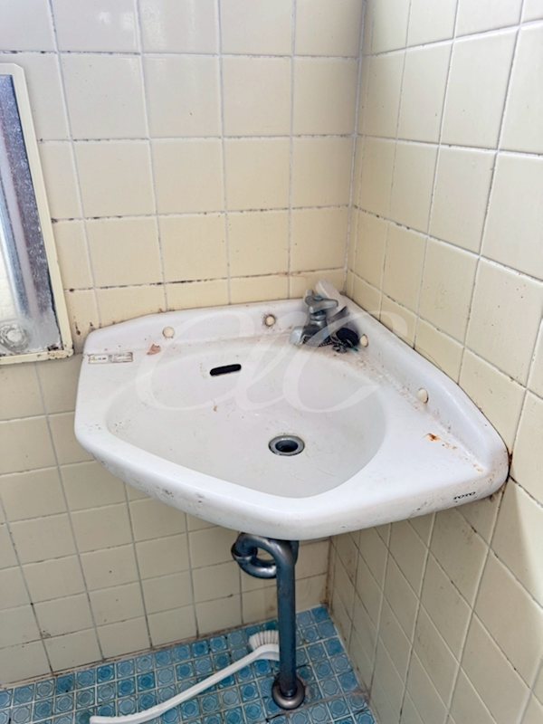 ホワイトハイツ その他2