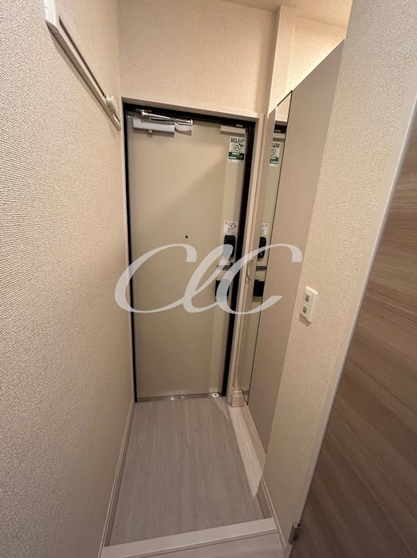 ルミナーレ  玄関