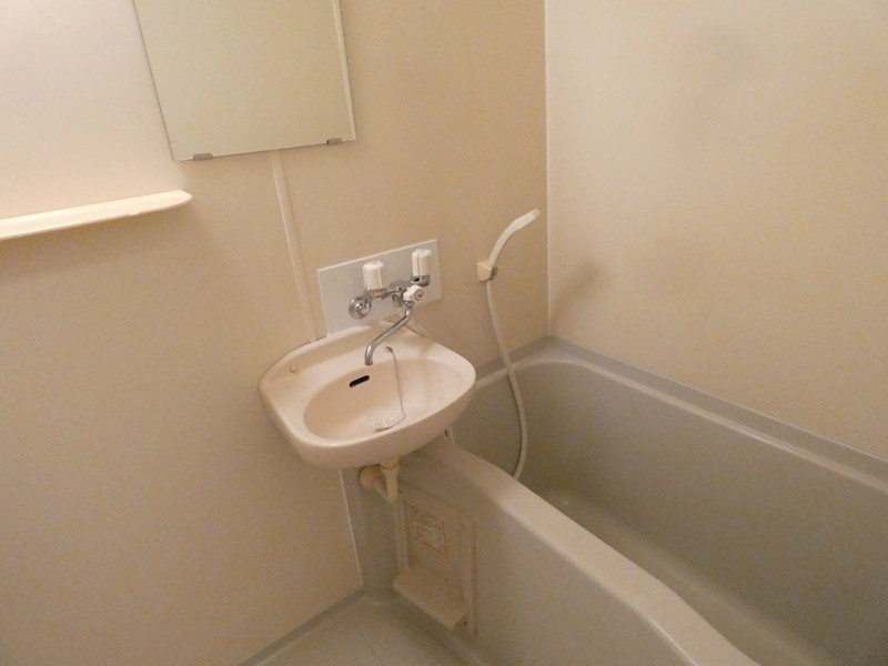 ビューラー・ハイム その他1