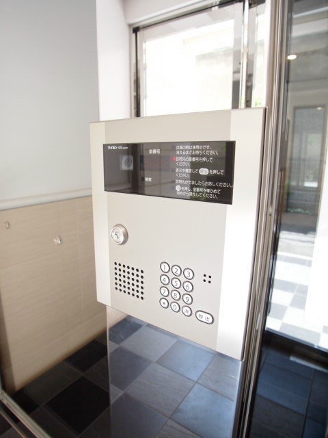 ＰＡＰＩＬＬＯＮ その他1