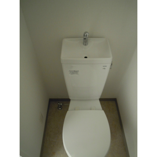 ＰＡＰＩＬＬＯＮ その他5