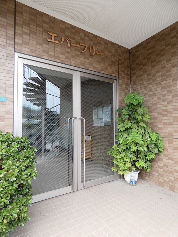 サンフラワー第6 その他8