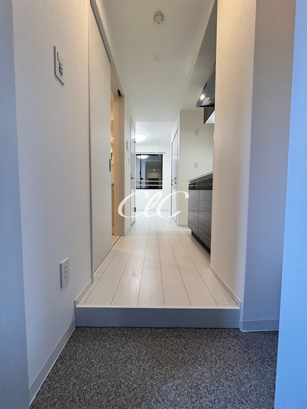 コルビジェⅣ 玄関