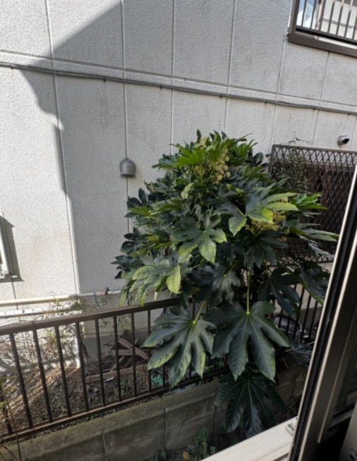 サークルハウス京成小岩 その他3