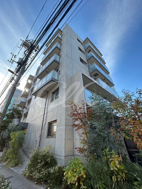 Sunny Side Forest  外観