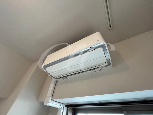 Sunny Side Forest  その他5