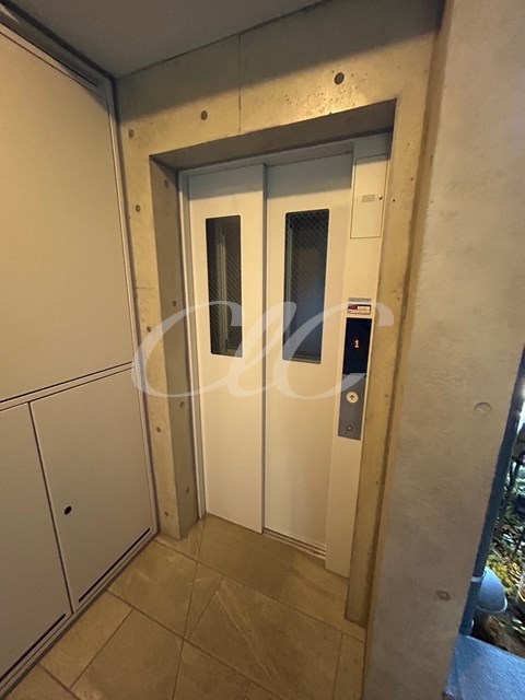 Sunny Side Forest  その他9