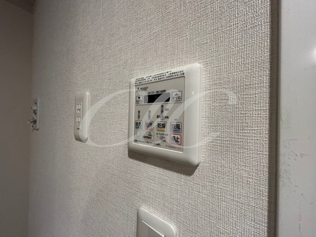 Sunny Side Forest  その他11