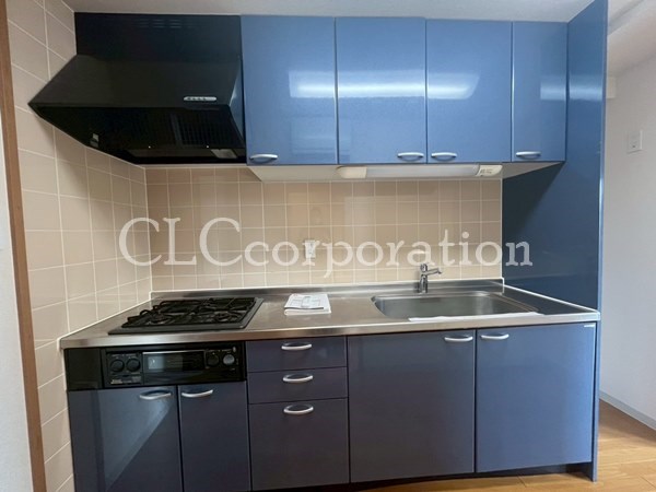 アビタシオン大島     キッチン