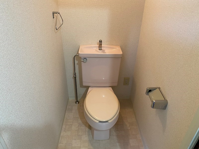 カーサーシンセラー その他1