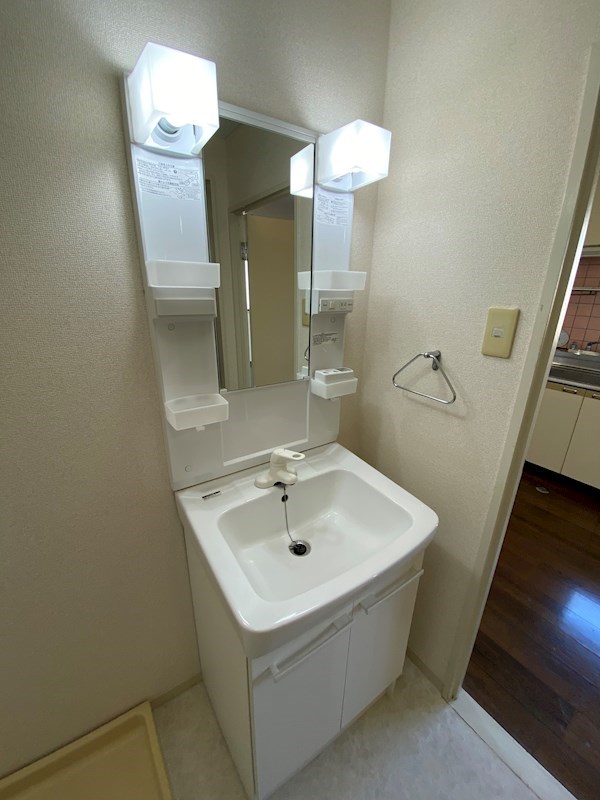 カーサーシンセラー その他2