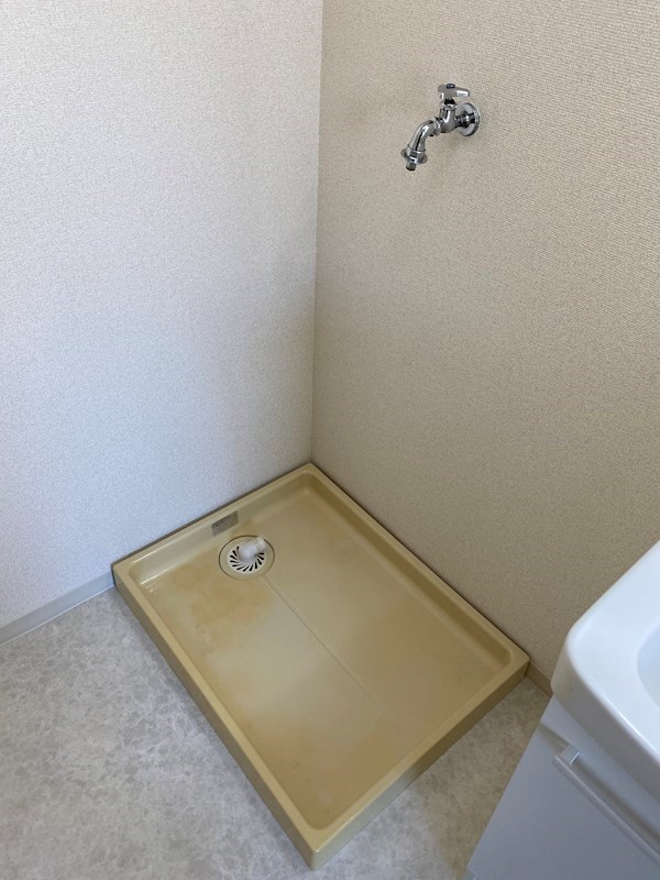 カーサーシンセラー その他8