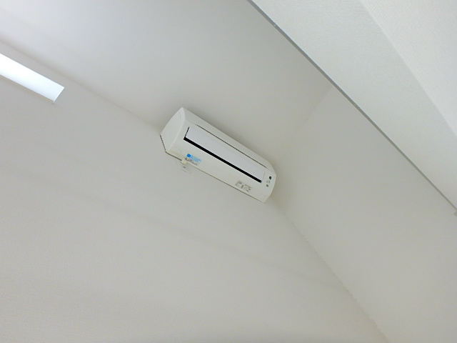 アプリコット その他3