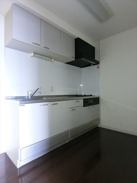 シンフォニーⅡ キッチン