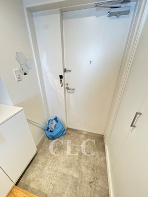 グランドメゾン王子 玄関