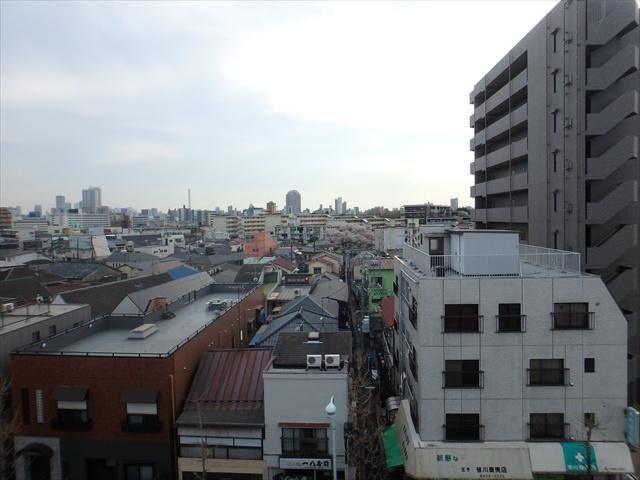 レピュア王子本町 その他1