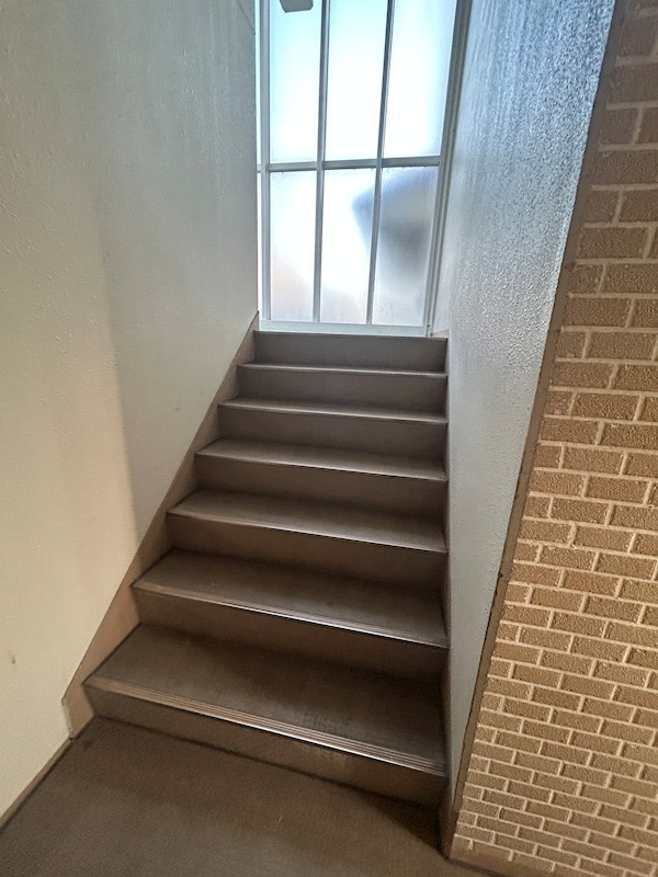 エクセレンテ その他12