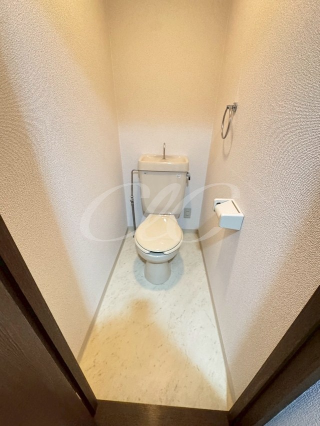 パレシャルマン その他1