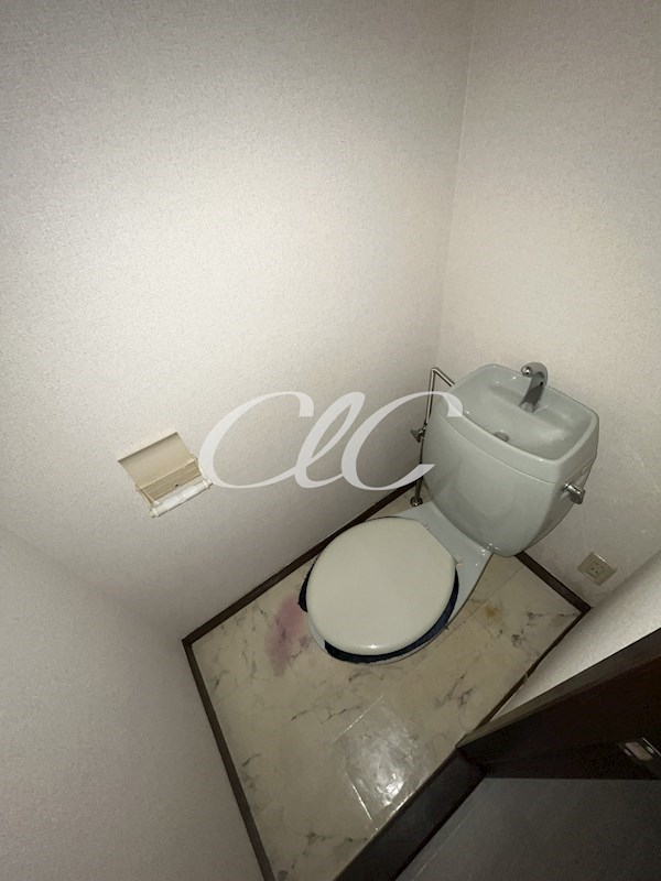 ボナール その他1