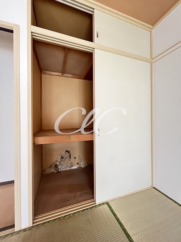 ボナール その他5